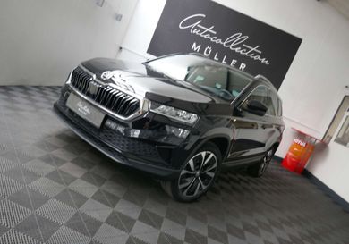 Skoda Karoq, 2023