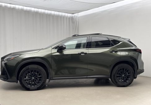 Lexus NX, 2025