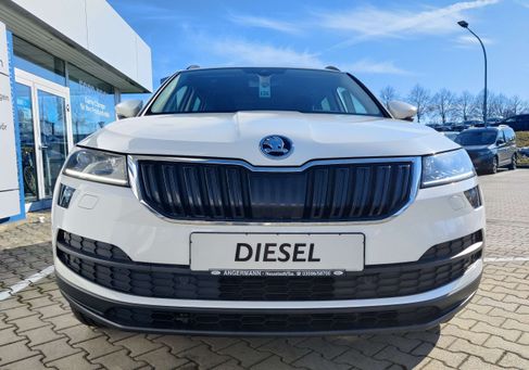 Skoda Karoq, 2019