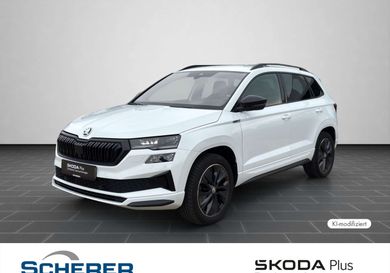 Skoda Karoq, 2023