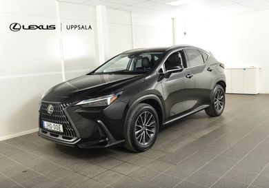 Lexus NX, 2024
