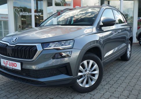 Skoda Karoq, 2024