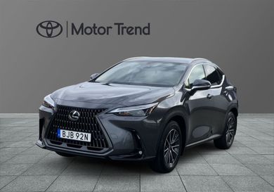 Lexus NX, 2025