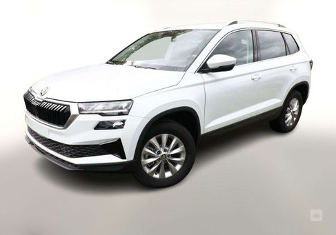 Skoda Karoq, 2024