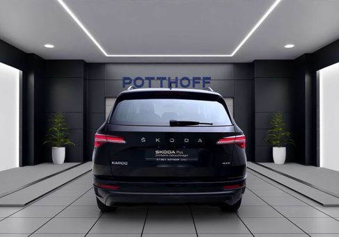 Skoda Karoq, 2022