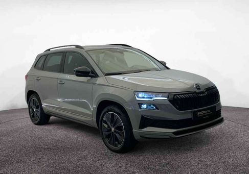 Skoda Karoq, 2023