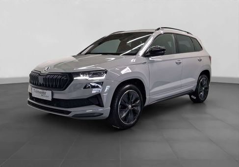 Skoda Karoq, 2024