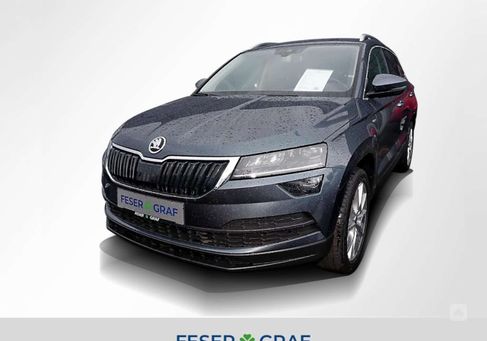 Skoda Karoq, 2019