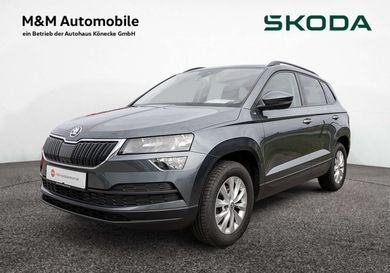 Skoda Karoq, 2019