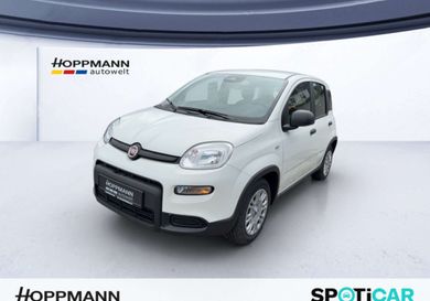 Fiat Panda, 2025