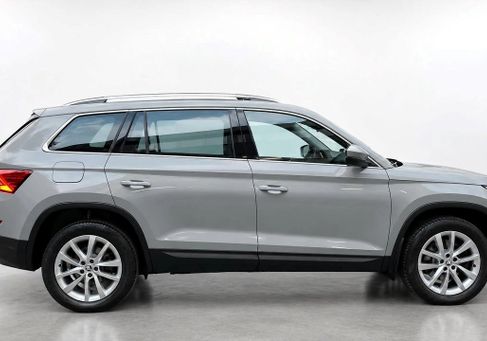Skoda, 2021 3