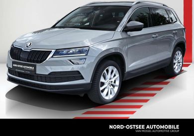 Skoda Karoq, 2019