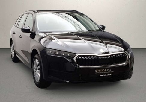 Skoda Octavia, 2026 3