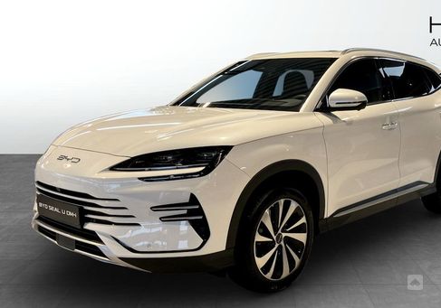 BYD, 2024