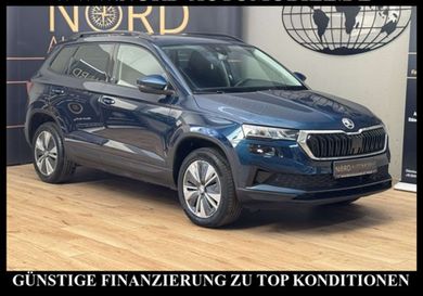 Skoda Karoq, 2023