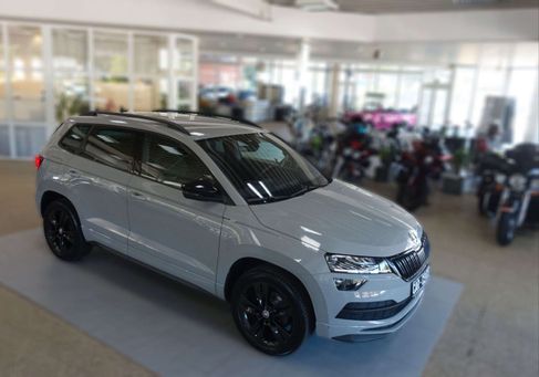 Skoda Karoq, 2020