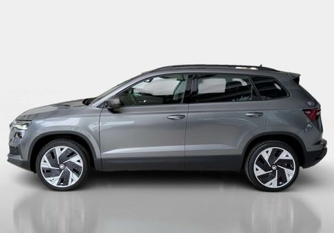 Skoda Karoq, 2022