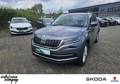 Skoda Kodiaq, 2019