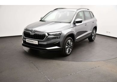 Skoda Karoq, 2022