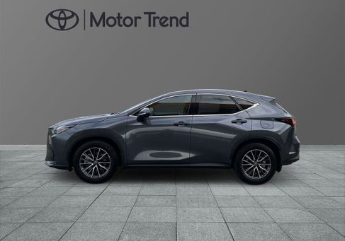 Lexus NX, 2025