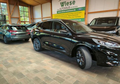 Ford Kuga, 2022