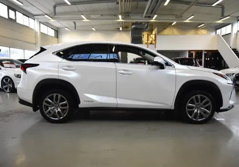 Lexus NX, 2019