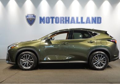 Lexus NX, 2024