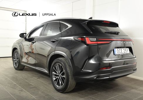 Lexus NX, 2023