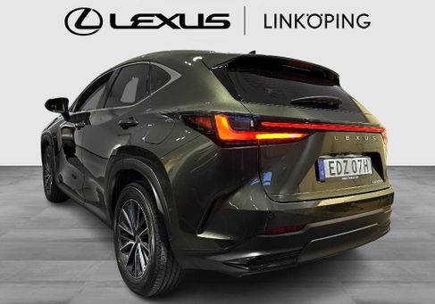 Lexus NX, 2024