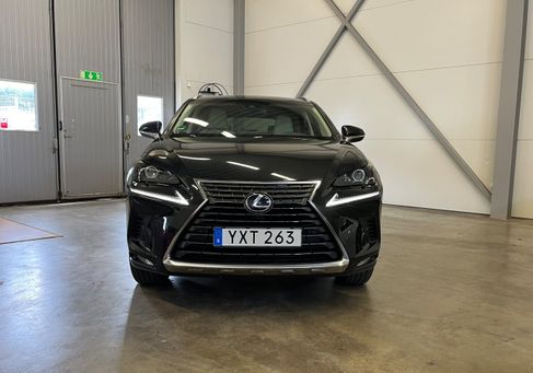 Lexus NX, 2019