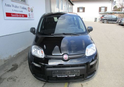 Fiat Panda, 2025