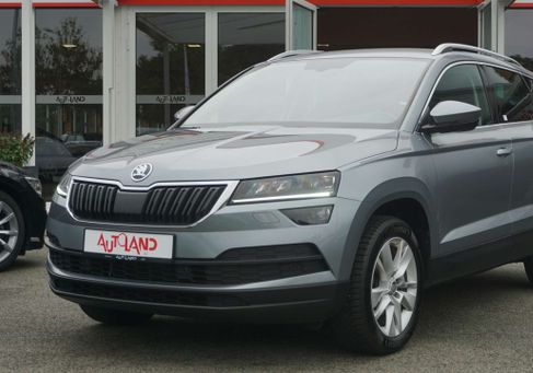 Skoda Karoq, 2020