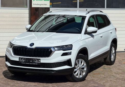 Skoda Karoq, 2023 2