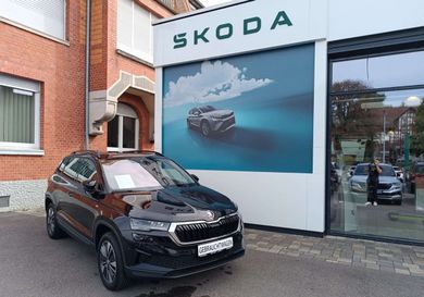 Skoda Karoq, 2023