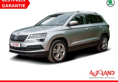 Skoda Karoq, 2020