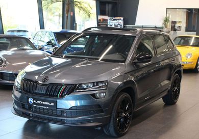 Skoda Karoq, 2019