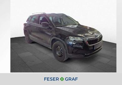 Skoda Karoq, 2025