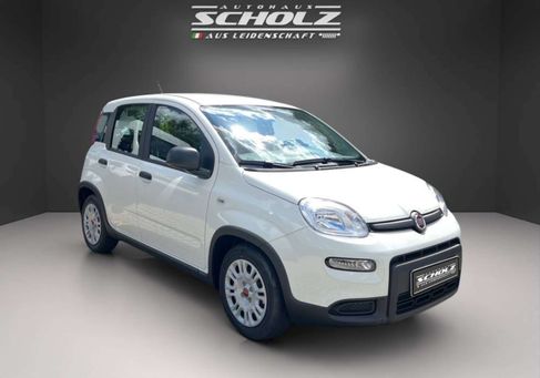 Fiat Panda, 2024