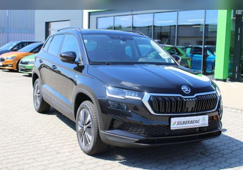 Skoda Karoq, 2024