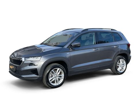 Skoda Karoq, 2023 2
