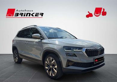 Skoda Karoq, 2022