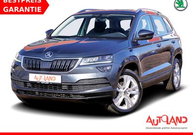 Skoda Karoq, 2020