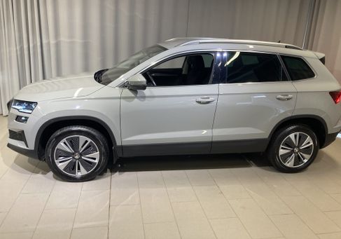 Skoda Karoq, 2023