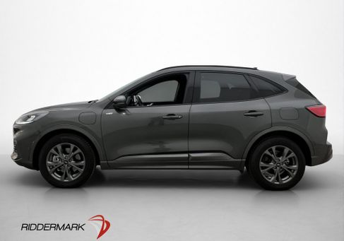 Ford Kuga, 2021