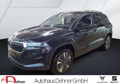 Skoda Karoq, 2025