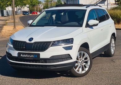 Skoda Karoq, 2019