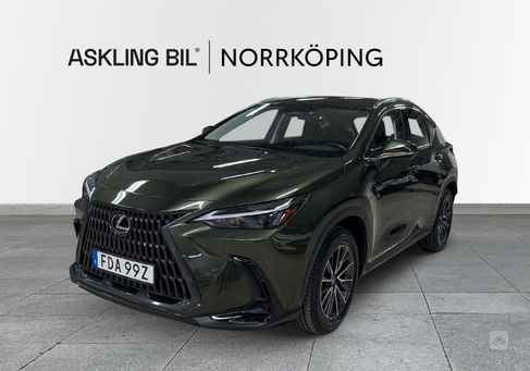 Lexus NX, 2024