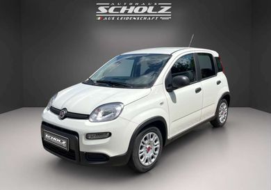 Fiat Panda, 2024