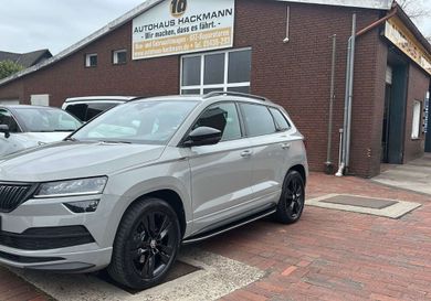 Skoda Karoq, 2020