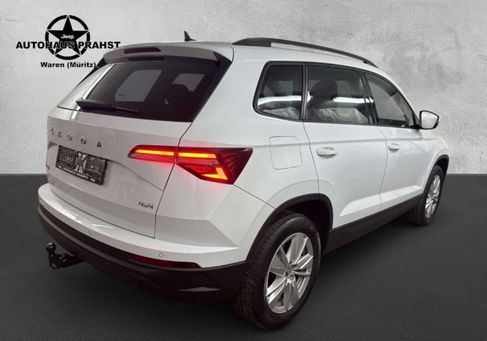 Skoda Karoq, 2023